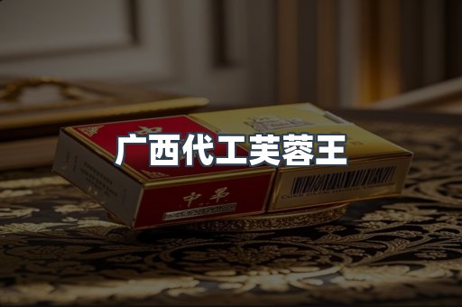 广西代工芙蓉王
